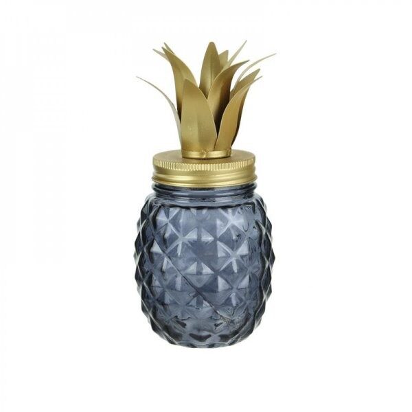 Mason jar ananas led m12 argent or vert noir  - CDISTR