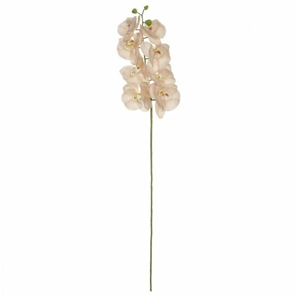 Tige orchidee h108cm EDI - ATM
