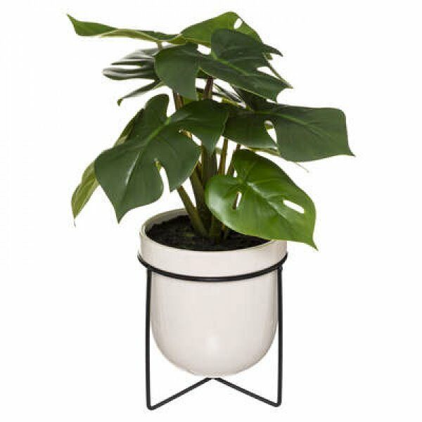 Monstera en pot cera pied metal h33cm - ATM