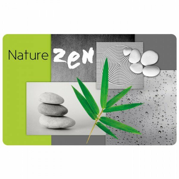 Set de table pp opaque 28,5x44cm ZANIS - D INT