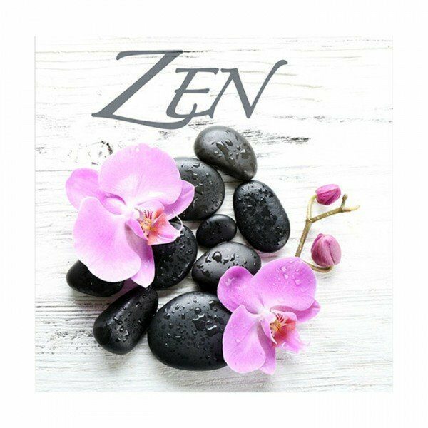 Set de 20 serviettes en papier 33x33cm 3 plis ZEN GALET - D INT