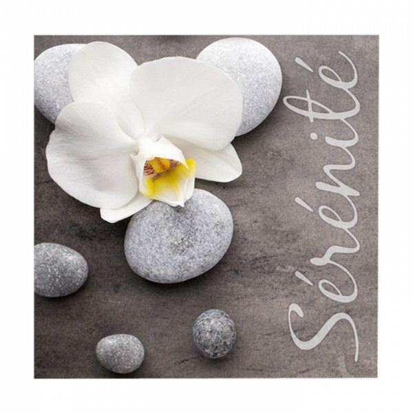 Set de 20 serviettes en papier 33x33cm 3 plis SERENITE - D INT