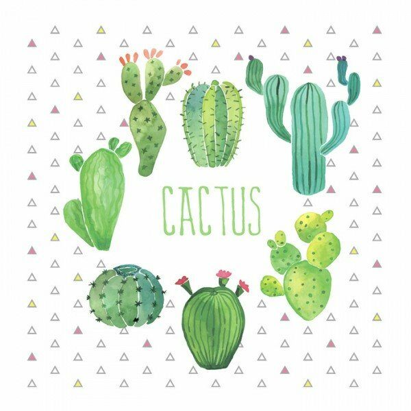 Set de 20 serviettes en papier 33x33cm 3 plis BOHO CACTUS - D INT