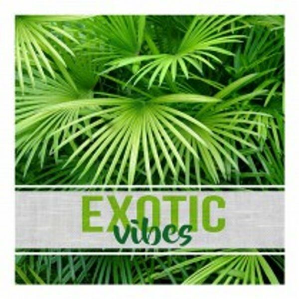 Set de 20 serviettes en papier 33x33cm 3 plis EXOTIC VIBE - D INT