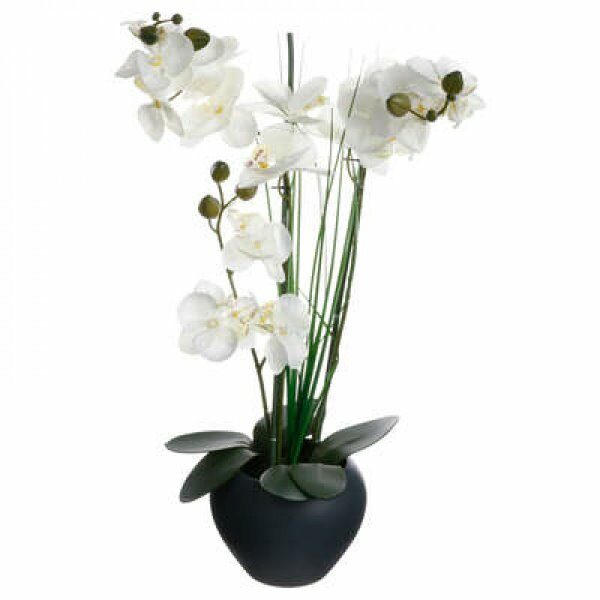 Orchidee avec vase cera gris h53cm - ATM