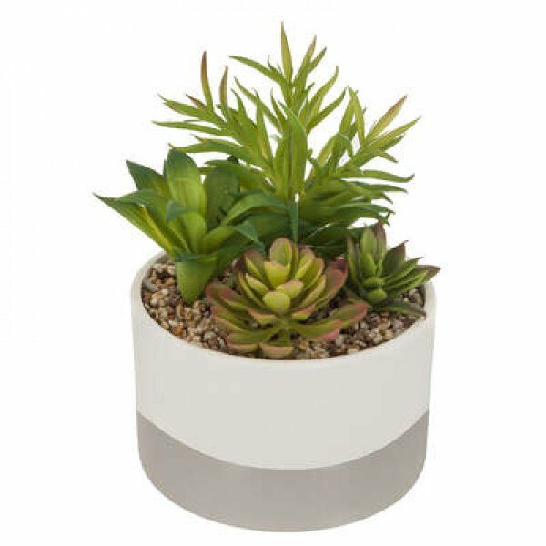 Plante articielle en pot cera bicolore - ATM