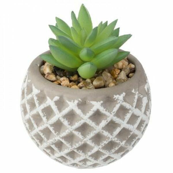 Succulente pot ciment 8 x 9 cm - ATM