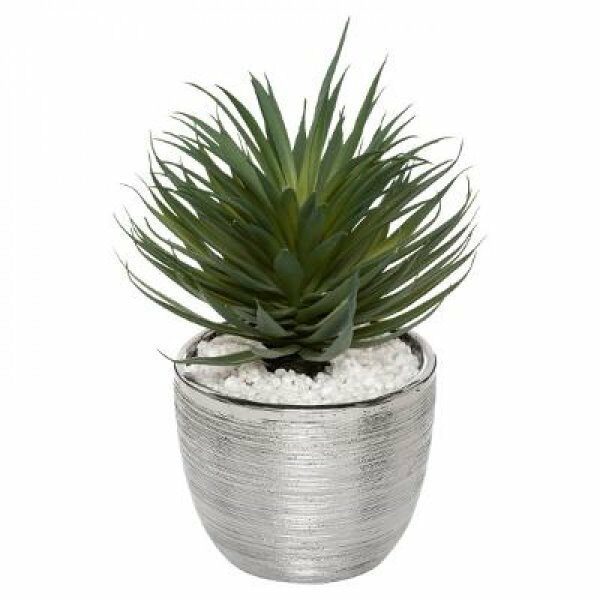 Succulente en pot ceramique H27cm SHINE - ATM